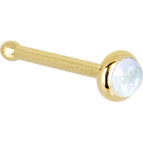 20 Gauge / Bone