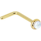 20 Gauge / L-Shape