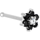 20 Gauge / Bone