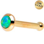 20 Gauge / Bone