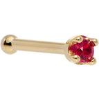 20 Gauge / Bone