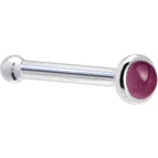 20 Gauge / Bone