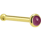 20 Gauge / Bone