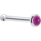 20 Gauge / Bone