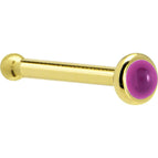 20 Gauge / Bone