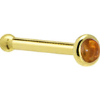 20 Gauge / Bone