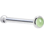 20 Gauge / Bone
