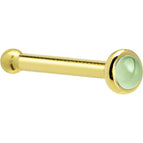 20 Gauge / Bone