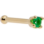 20 Gauge / Bone