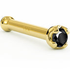 20 Gauge Bone