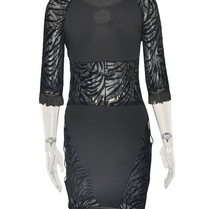 Cut Out Sexy Zebra Mesh Transparent Women's Pencil Short Dresses Mini Dress for Beach Bodycon