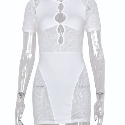 Cut Out Sexy Zebra Mesh Transparent Women's Pencil Short Dresses Mini Dress for Beach Bodycon