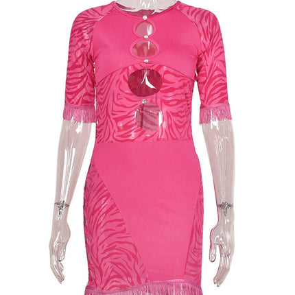 Cut Out Sexy Zebra Mesh Transparent Women's Pencil Short Dresses Mini Dress for Beach Bodycon