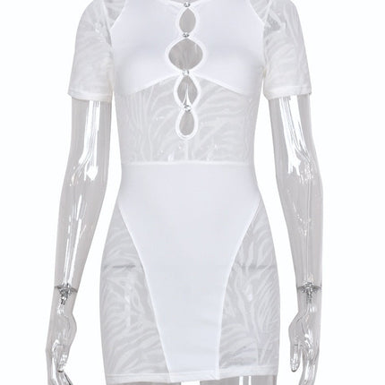 Cut Out Sexy Zebra Mesh Transparent Women's Pencil Short Dresses Mini Dress for Beach Bodycon