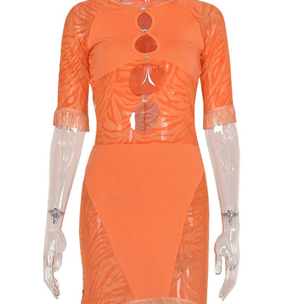 Cut Out Sexy Zebra Mesh Transparent Women's Pencil Short Dresses Mini Dress for Beach Bodycon
