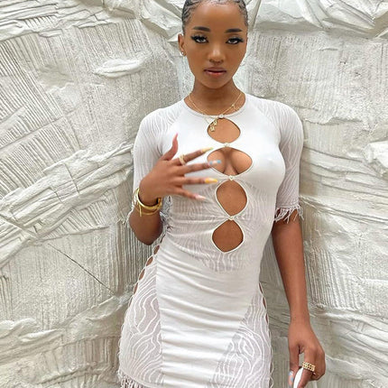 Cut Out Sexy Zebra Mesh Transparent Women's Pencil Short Dresses Mini Dress for Beach Bodycon
