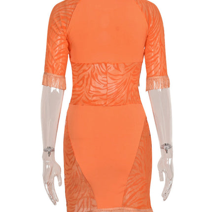 Cut Out Sexy Zebra Mesh Transparent Women's Pencil Short Dresses Mini Dress for Beach Bodycon