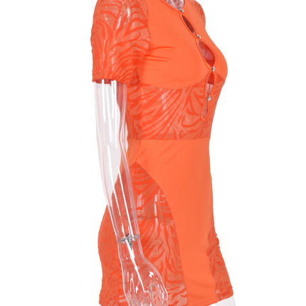 Cut Out Sexy Zebra Mesh Transparent Women's Pencil Short Dresses Mini Dress for Beach Bodycon
