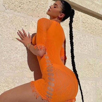 Cut Out Sexy Zebra Mesh Transparent Women's Pencil Short Dresses Mini Dress for Beach Bodycon