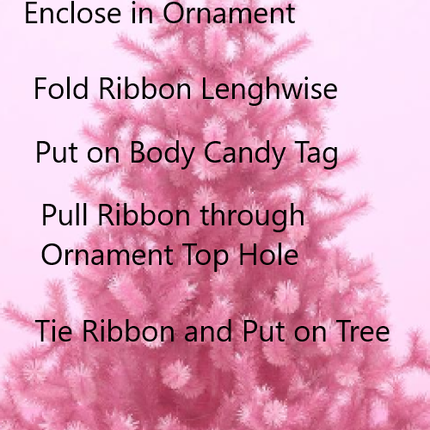 Body Candy Ornament Gift Packaging