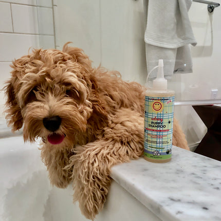 Calming™ Puppy + Dog Wash