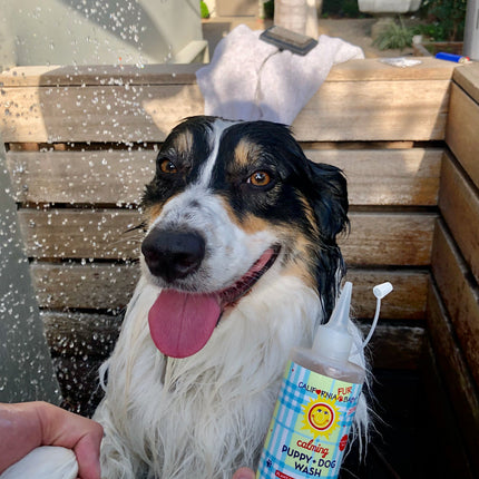 Calming™ Puppy + Dog Wash