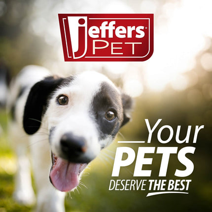 Jeffers Natural Rubber Box of Chocolates Dog Chew Toy for Medium-Chewers