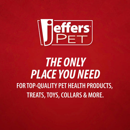 Jeffers Red "Y" Natural Rubber Dental Dog Chew Toy for Medium Chewers