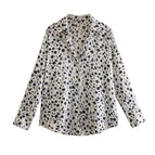 spot / XS