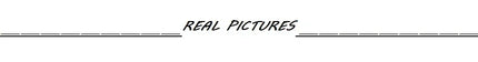 WhereMery Retro Leopard Print Seguins Shiny Chic Short Pants Y2K Spring Women's Fashion Night Club Streetwear Women Mini Bottoms