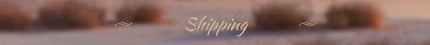 Customized V-Neck Shiny Off The Shoulder Appliques Wedding Dress 2025 Ball Gown Floor Length Sweep Train Lace Up Bridal Gown