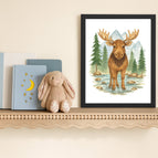 Moose / Natural