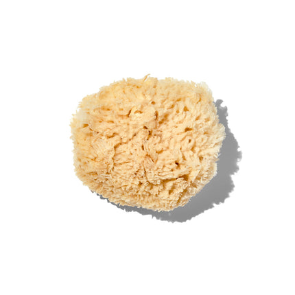 Natural "Wool" 3-4" Sea Sponge