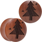 25mm (1