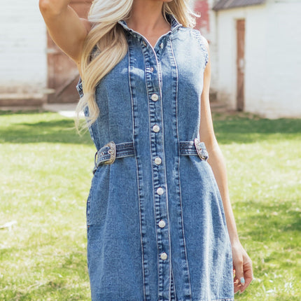 Ainara Down Sleeveless Short Dress