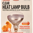 Clear Heat Lamp Bulb (250 Watt)