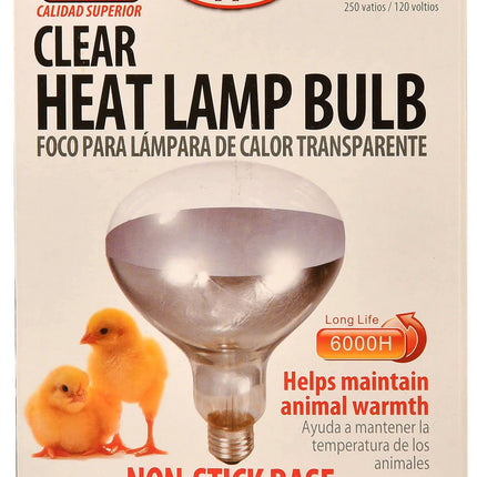 Clamp-On Brooder Heat Lamp for Chicks & Poultry - Compatible with 250W Red & Clear Heat Bulbs