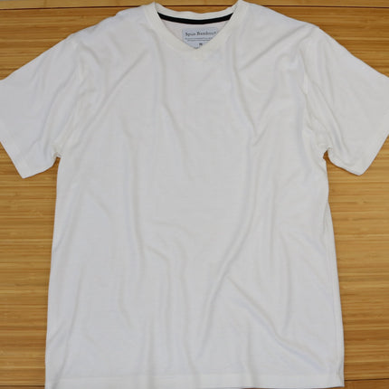 Clearance Men's Bamboo Viscose V-Neck T-Shirt
