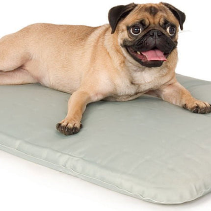 K&H Cool Bed III for Dogs