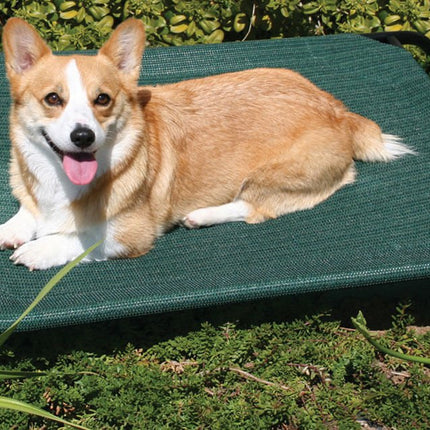 Coolaroo Pet Bed