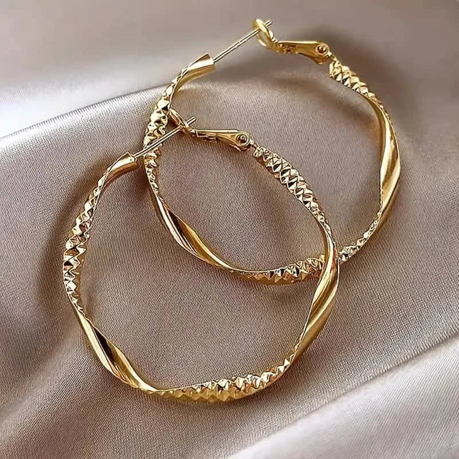 Delicate Silky Texture Design Women's Earrings