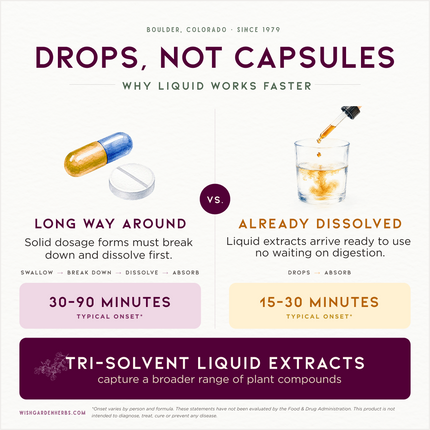 Genius Juice, Cognitive Aid