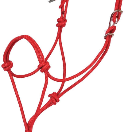 Jeffers Easy-On Clip Nylon Rope Horse Halter with Lead