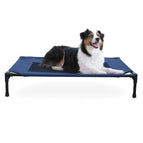 Navy Blue / Large