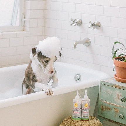 (No Fragrance) Super Sensitive™ Puppy + Dog + Kitty Conditioner