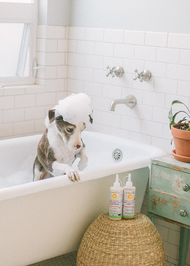 (No Fragrance) Super Sensitive™ Puppy + Dog + Kitty Conditioner