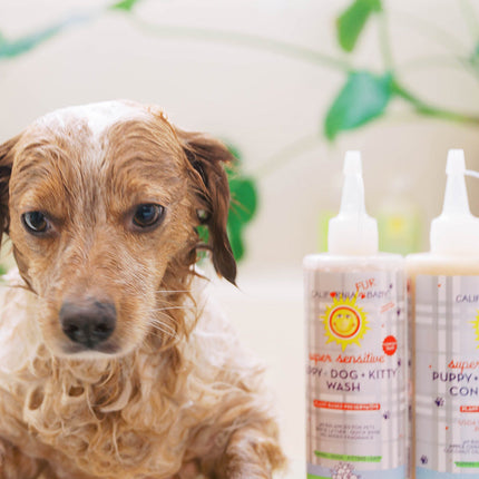 (No Fragrance) Super Sensitive™ Puppy + Dog + Kitty Wash & Conditioner Set