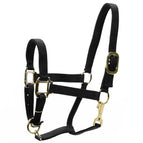 Black / Yearling