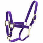 Purple / Yearling