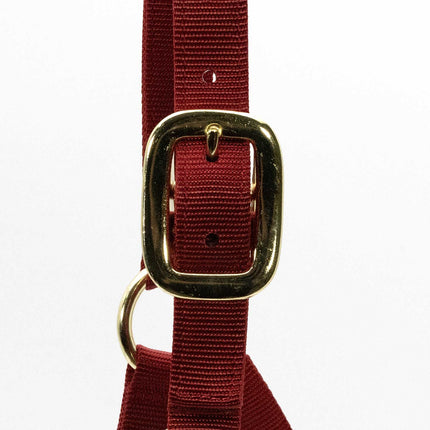 Jeffers Adjustable Halter with Throat Snap